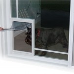 doggie_door_edited_large